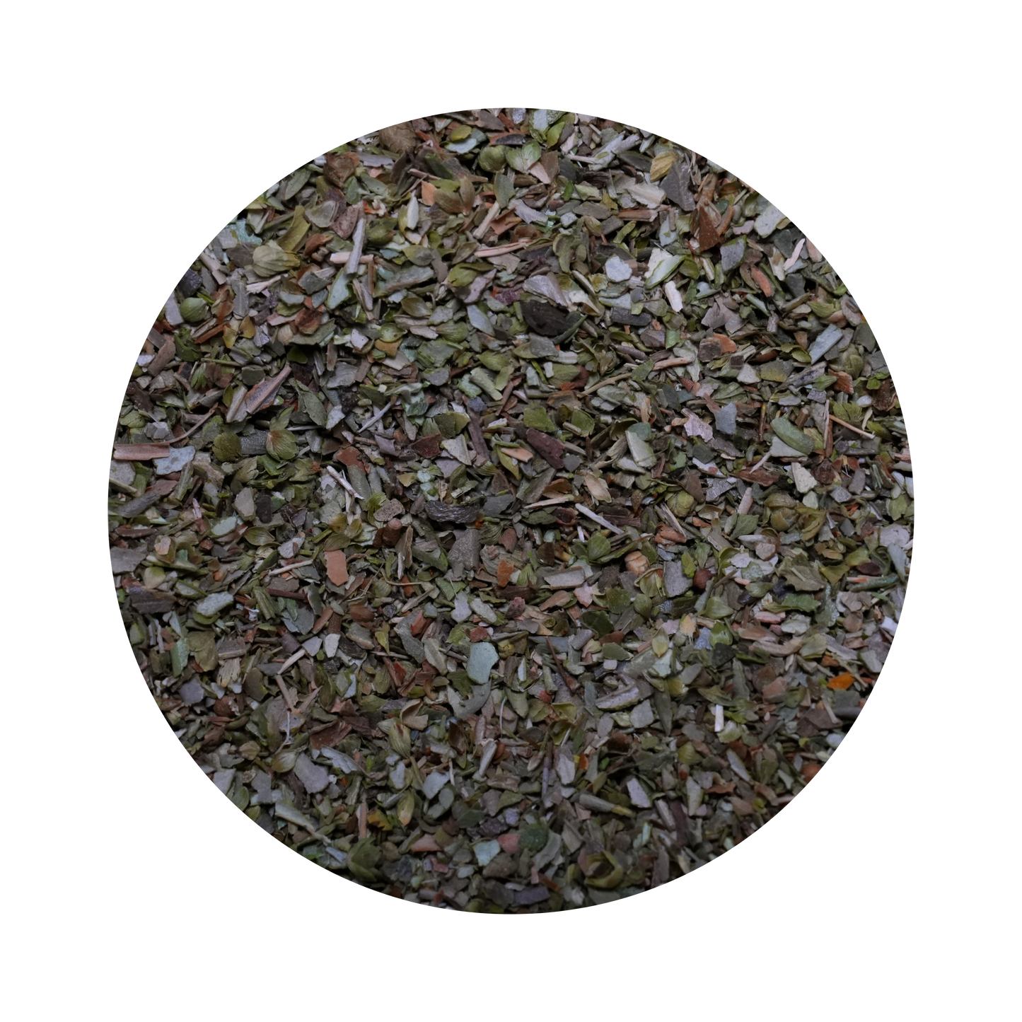 Oregano