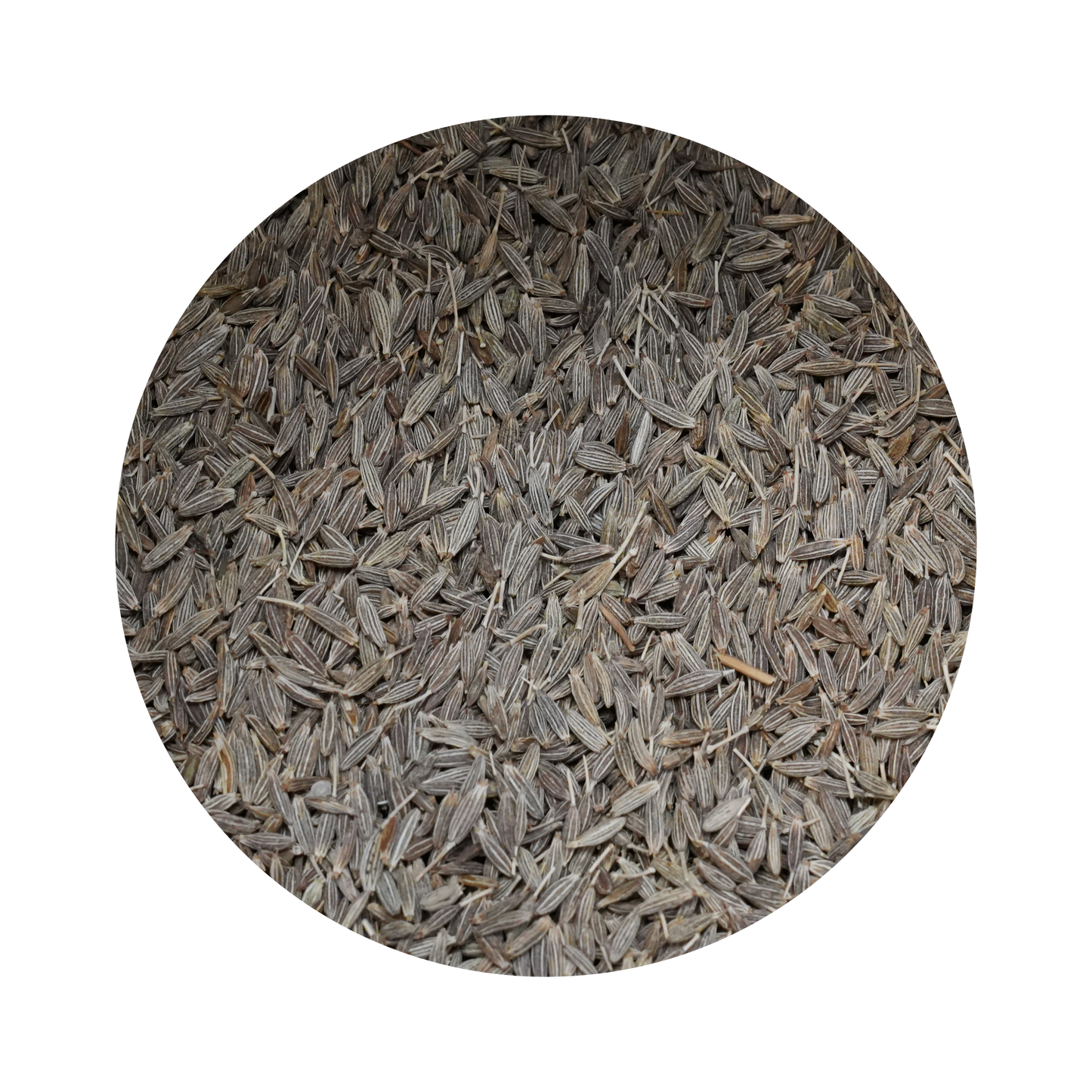 Cumin - Ganz