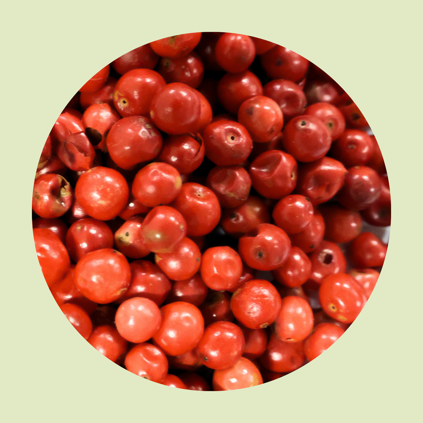 Rosa Pfefferbeeren
